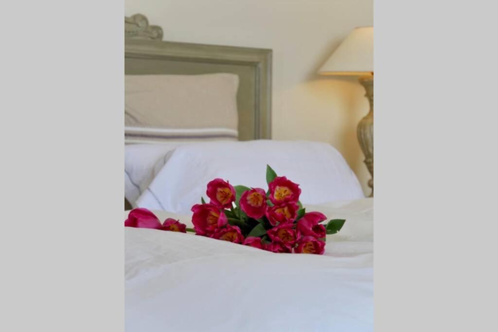 Bord De Mer - Ac, Wifi, Chic, Sea View, Beach 2 Minutes Walk Antibes Esterno foto